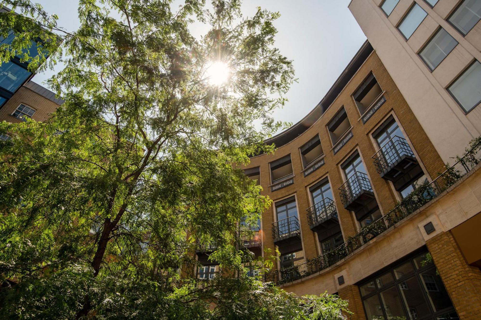 Cove St Martin'S Apartment London Exterior photo